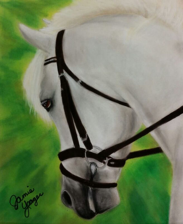 White Horse.jpg