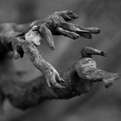 Album: ČIERNOBIELE ŠTVORCE