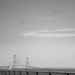 Album: ČIERNOBIELE ŠTVORCE