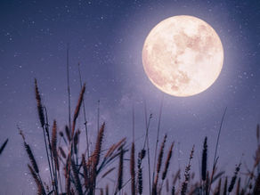 Astro-Therapy: Full Moon in Libra — Relationships & Dynamics...