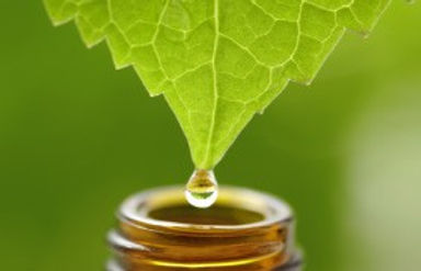 fcn-feature-naturopathy-280x180.jpg.html