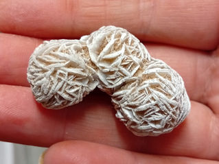 a desert rose of gypsum crystals