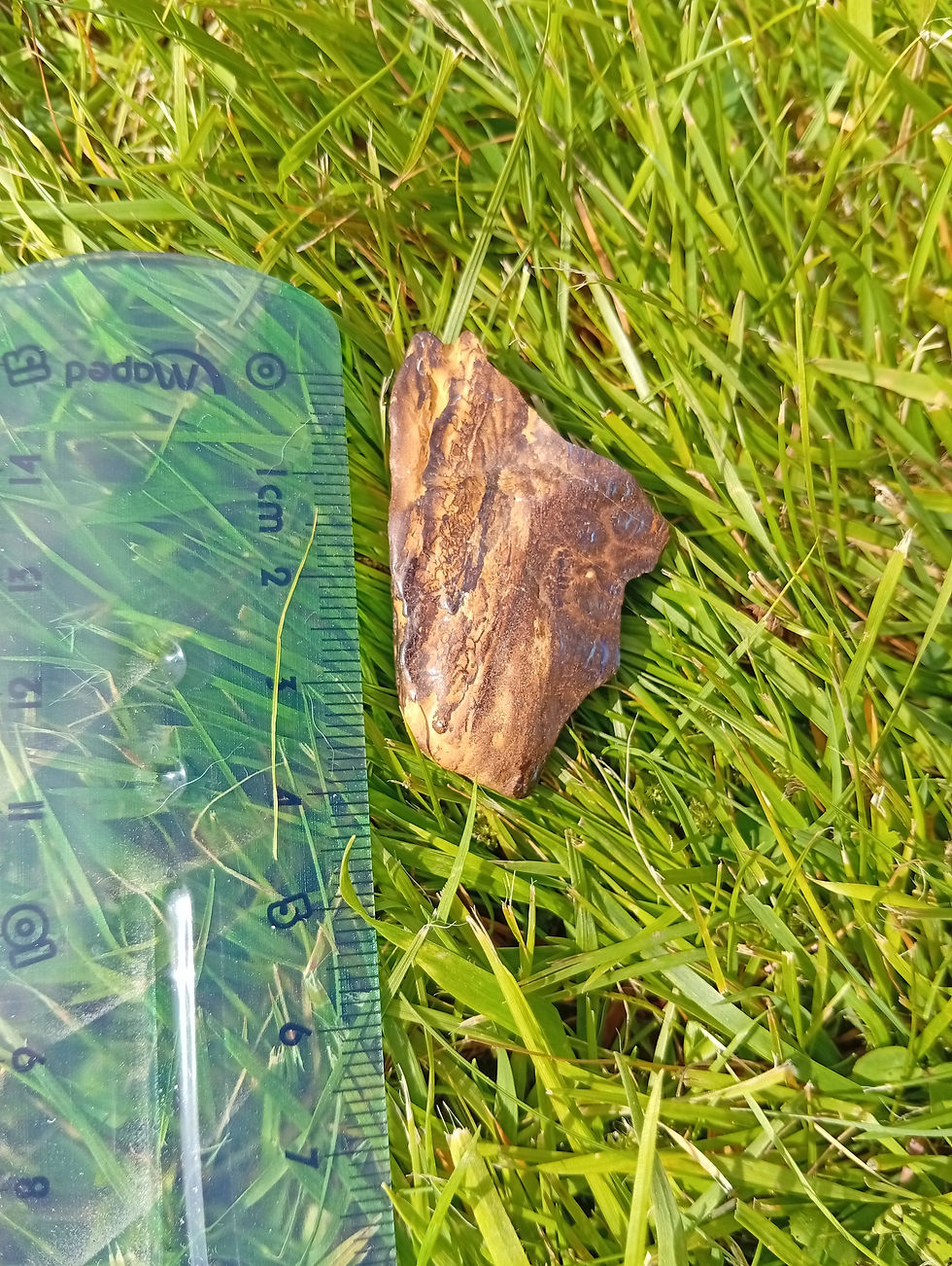 Miniature : koroit boulder opal