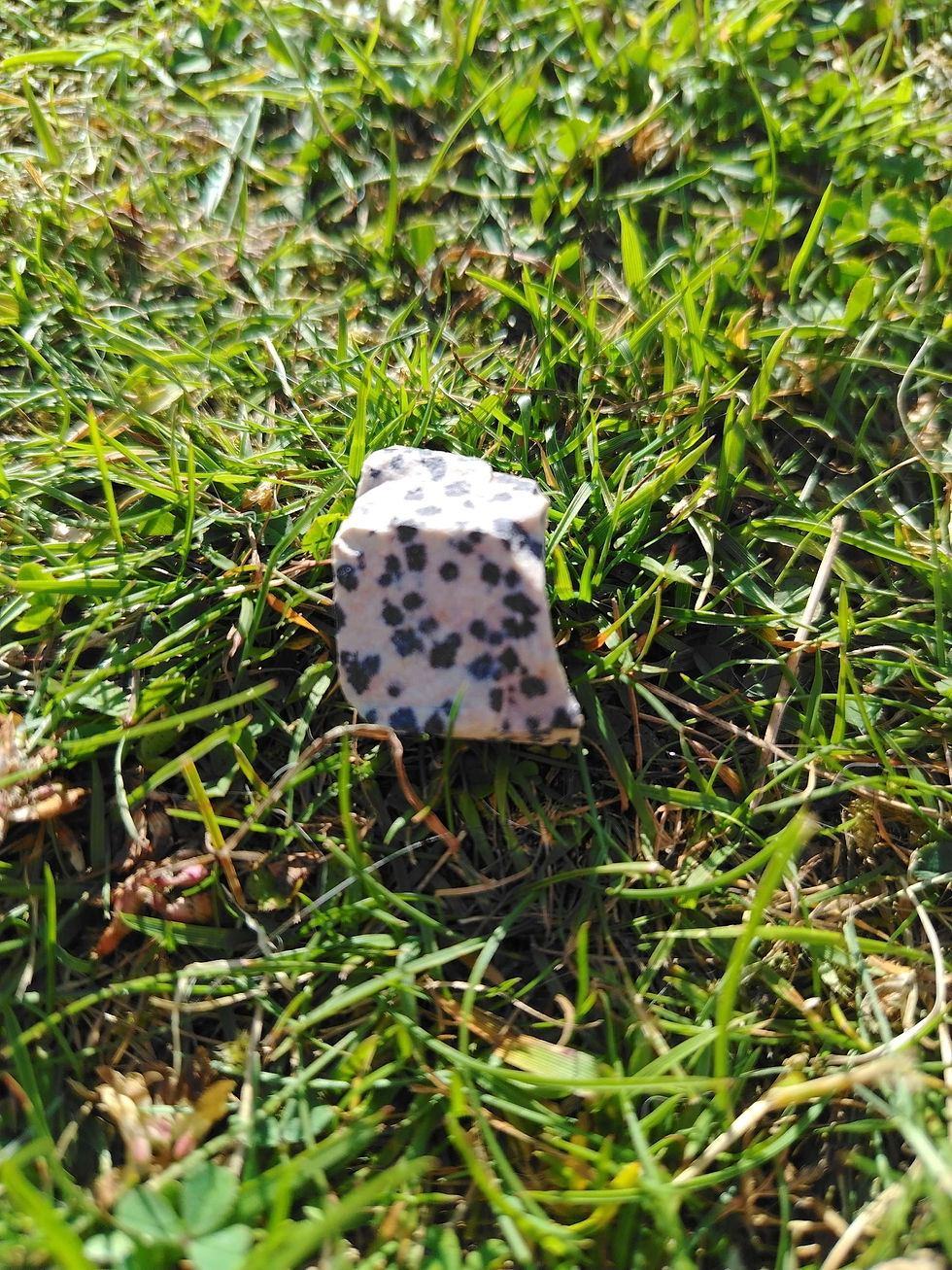 Dalmatian Jasper on different backgrounds, spotted jasper