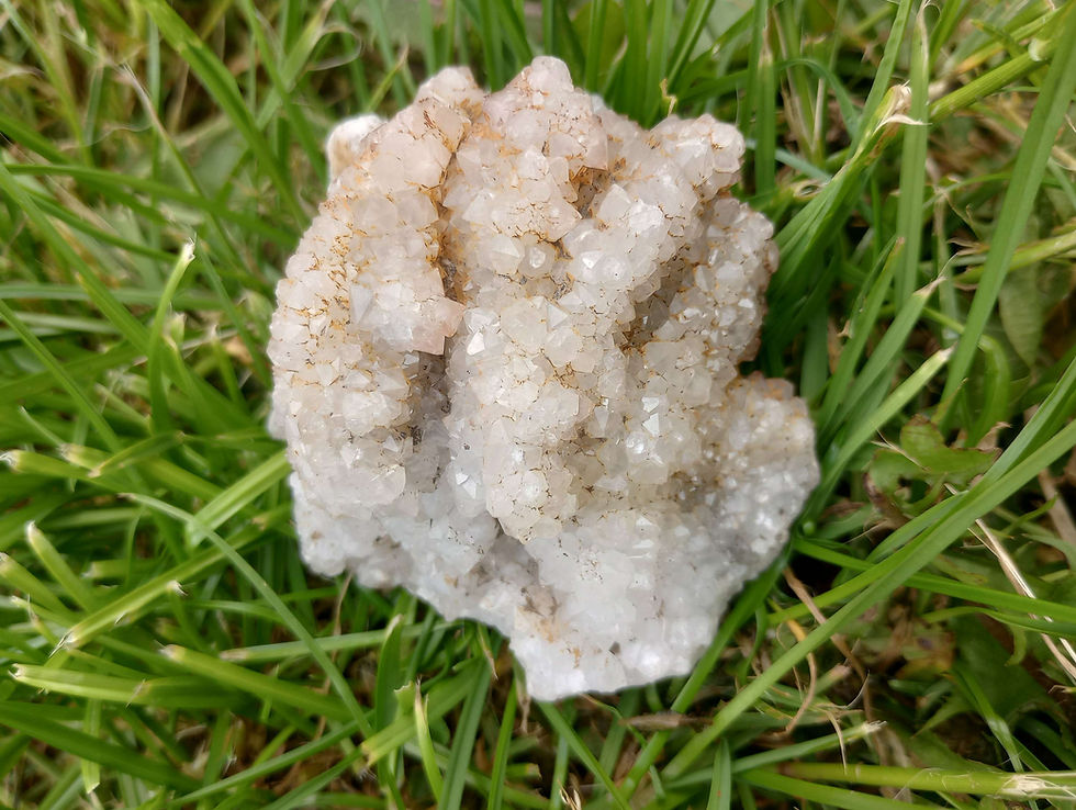 Fingers of druzy Scottish quartz on a bed of grass