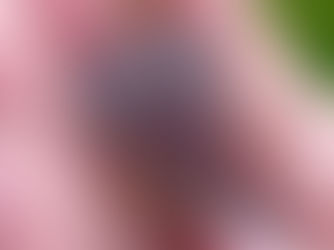 A gorgeous deep grey chalcedony agate with light coloured waterlines.