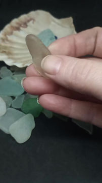 Miniatura: a Large seashell containing a mixture of green, white, and one blue sea glass pieces.