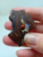 Koroit boulder opal from Australia with a colourful centre and trapped carnelian.