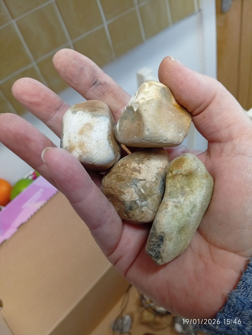 Miniatura: Flint/Chalcedony/Agate for Bushcraft or Crystal Healing 