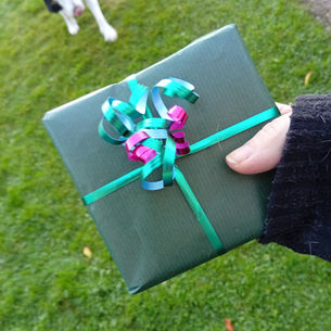 The Stone Circle's Christmas Present 2025