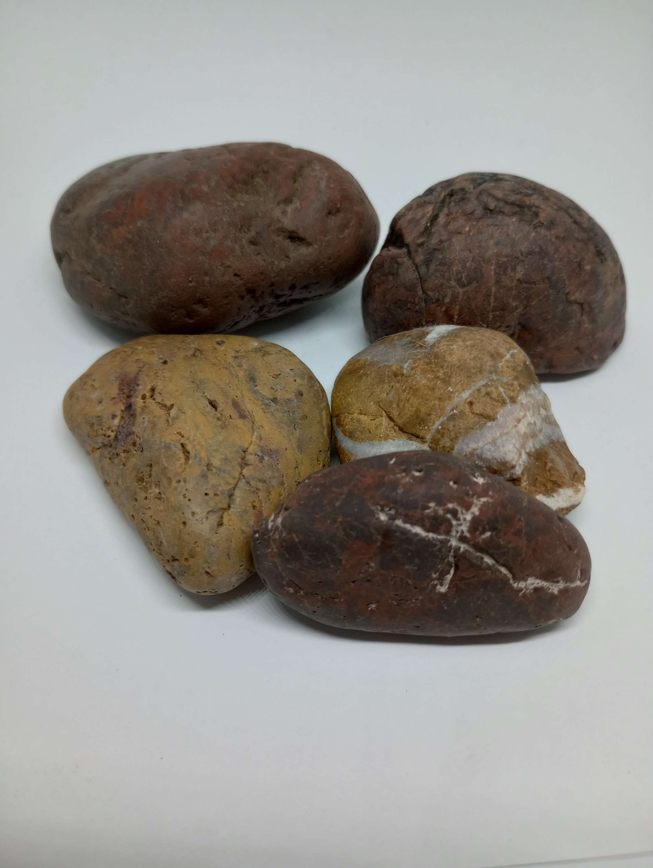 Rough Scottish Jasper Lot