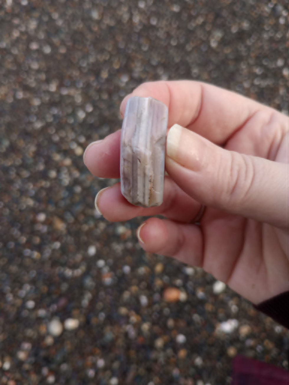 a Scottish agate from Dunure which features waterlines