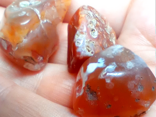 Three pieces of Scottish chalcedony in orange carnelian colours.