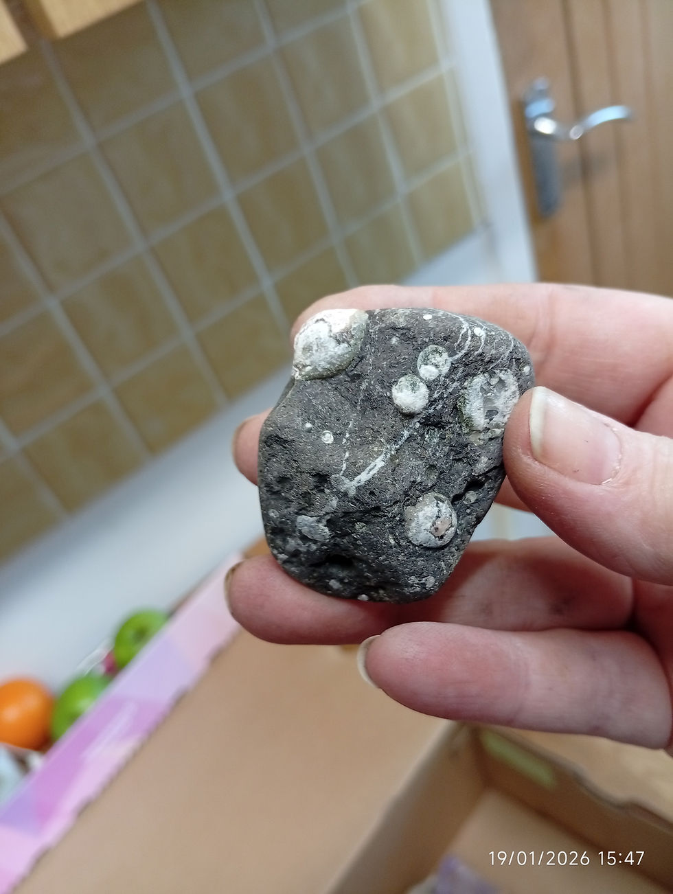 Miniature : Scottish Galaxy Stone
