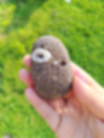 Thumbnail: Scottish Smoky Quartz Geode Nodule in Vesicular and Porphyritic Basalt