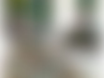 all of the parts, rocks, and grits that come in the rock tumbler refill kit.