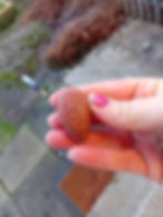 orange and light orange crystals