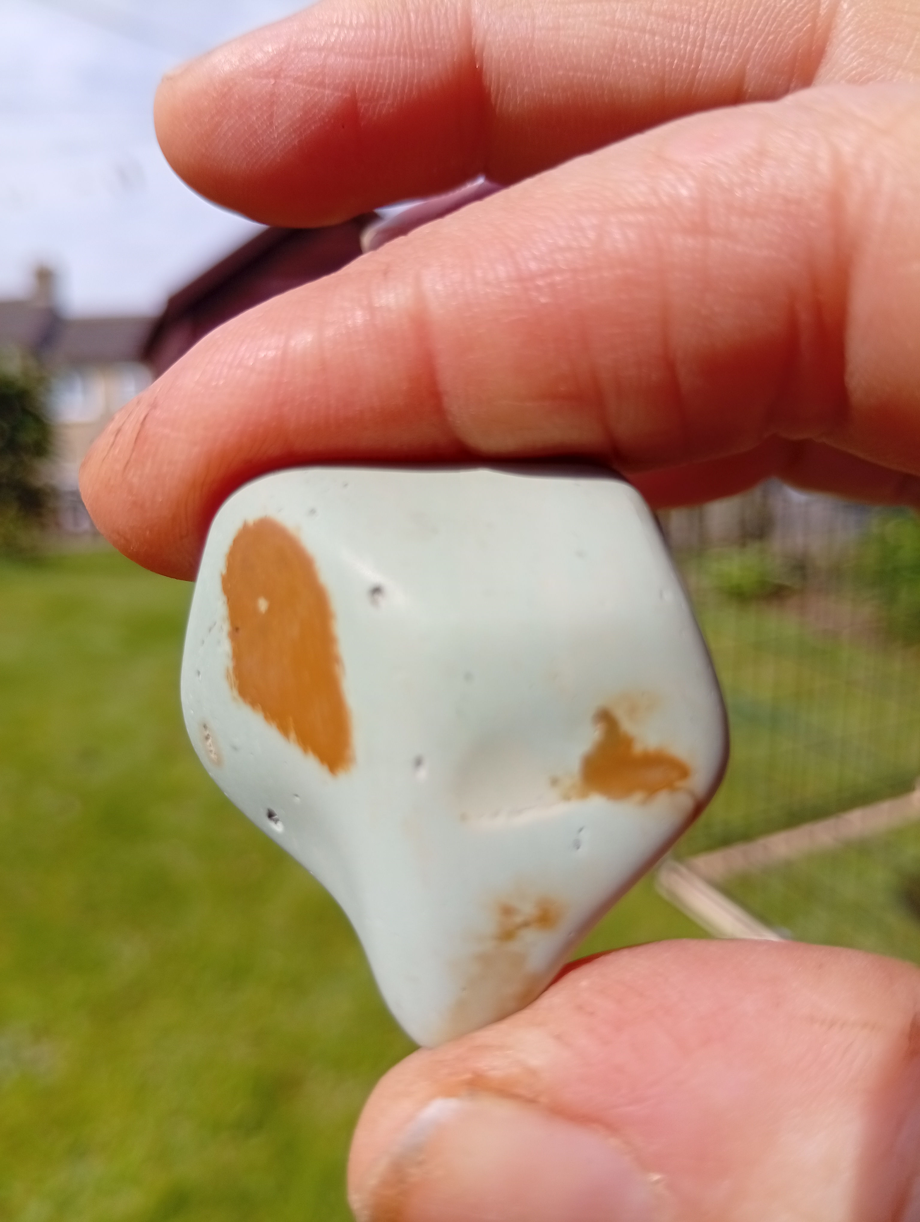 Light green and orange jasper in the accidental shape of an alien's head.