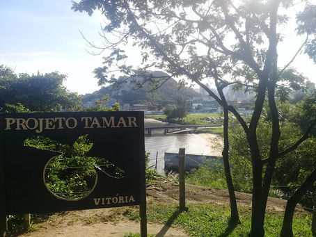 Alunos visitam o Projeto TAMAR em Vitória