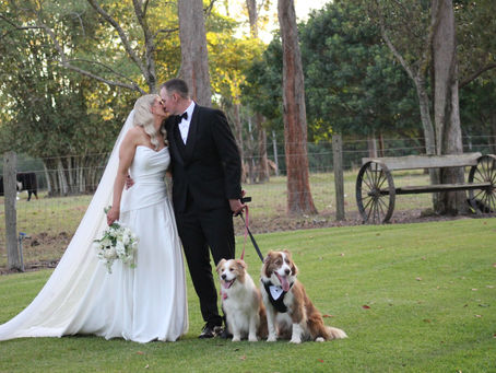 Jai & Sasha's Wedding with Bailey & Baxter