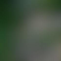 Via Ferrata Trefdag 30 mei