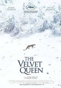 Filmavond: The Velvet Queen