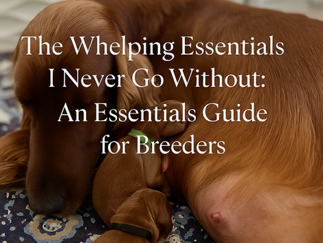 The Whelping Essentials I Never Go Without: An Essentials Guide for Breeders