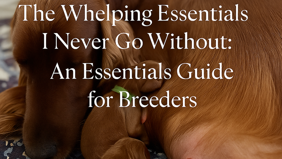 The Whelping Essentials I Never Go Without: An Essentials Guide for Breeders