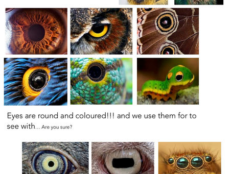 Eyes