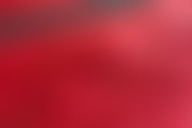 WL Gore: a company built on two frameworks