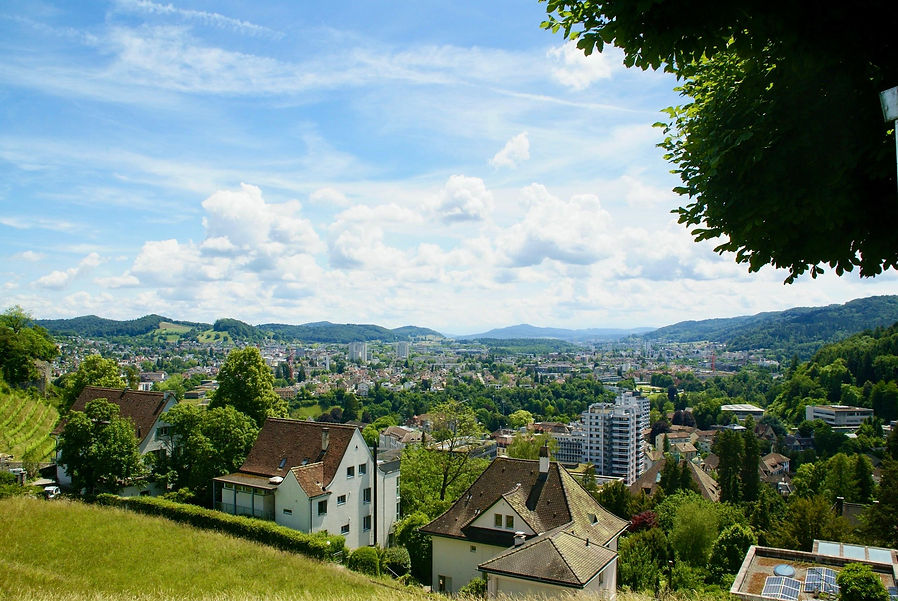 belvedere aussicht limmattal.jpeg