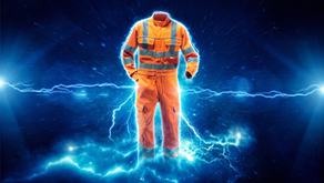 Protection with Protal from PULSAR®