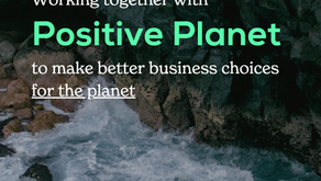2024 Carbon Footprint Report - Three years of Sustainable Progress