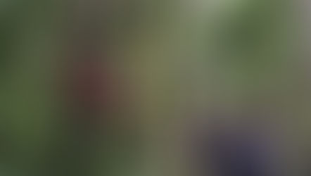 PULSAR®: #BeGreenBeSeen