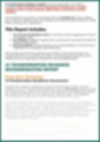 Example Report_AITR (Eng)