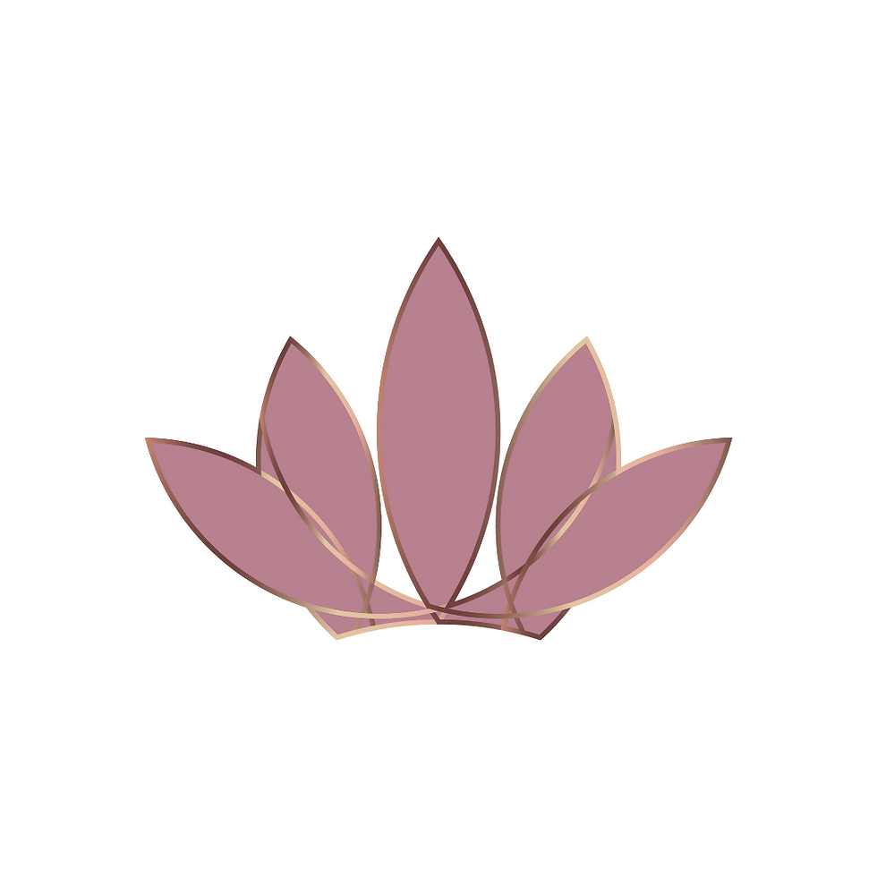 Decoración Interior (Nivel Basico)