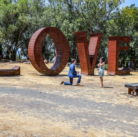 Engagement Paradise Ridge Winery Santa Rosa CA
