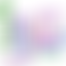 Liquidity Preference