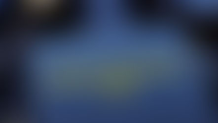 Word of the day: Whistleblower