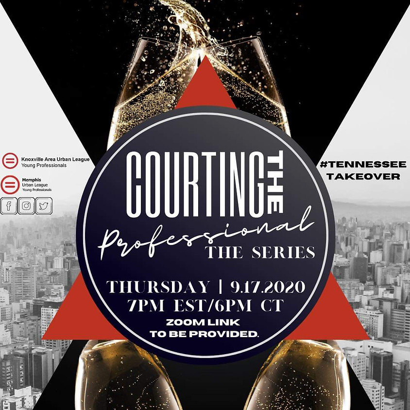 Courting The Professional: The Series