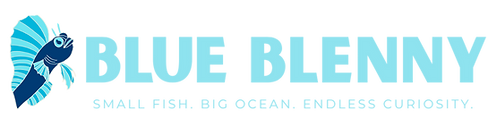 BB Logo L with text horizontal_turquoise waters.png