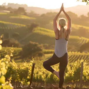 Da Nord a Sud torna Vigneti Aperti 2026: benessere, sport e sostenibilità per vivere, dalla primavera all’autunno, le emozioni della vita del vino insieme alle cantine del Movimento Turismo del Vino