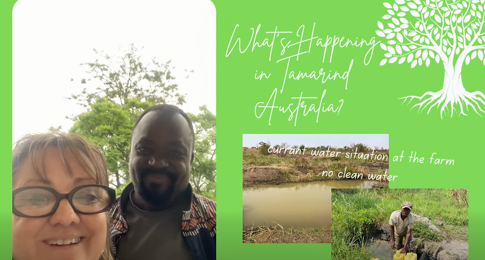 Looking Forward to 2026