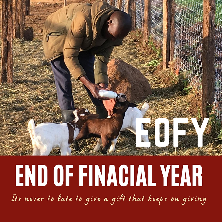 Ugandan man feeding goats. Text reads "EOFY. End of Financial Year. Its never too late to give a gift that keeps on giving."