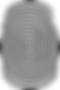 Fingerprint2.png