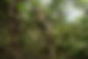beautiful-landscape.jpg