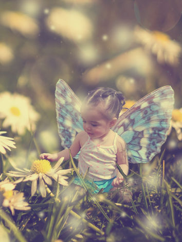 Jasmin Fairy