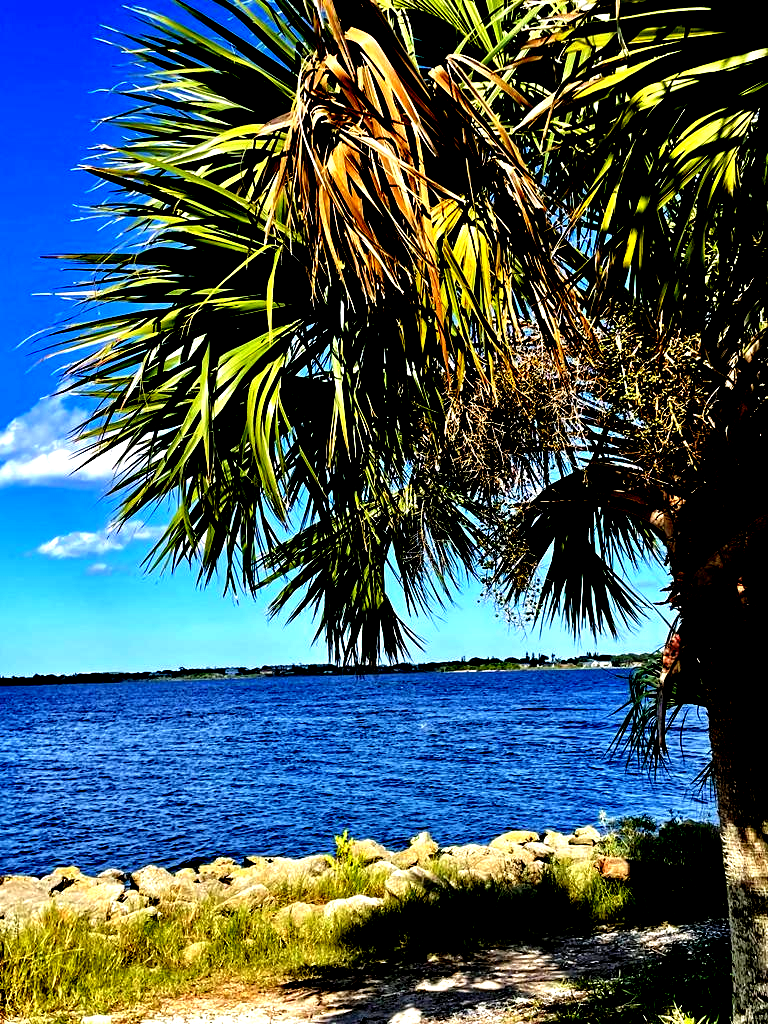 The Halifax River originates at Tomoka Bay, at the confluence of the Tomoka River and Bulow Creek.