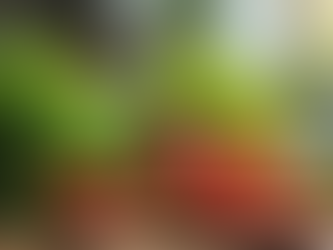 Natural Strategies for Balancing Hormones Without Medication