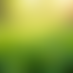 Unlocking the Secrets: Natural Methods to Stimulate Your Stem Cells